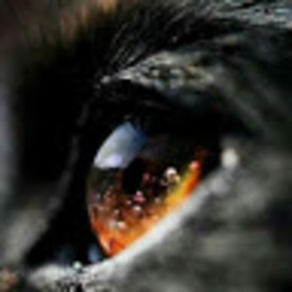 Meet your Posher, I - Picture 1 of 1